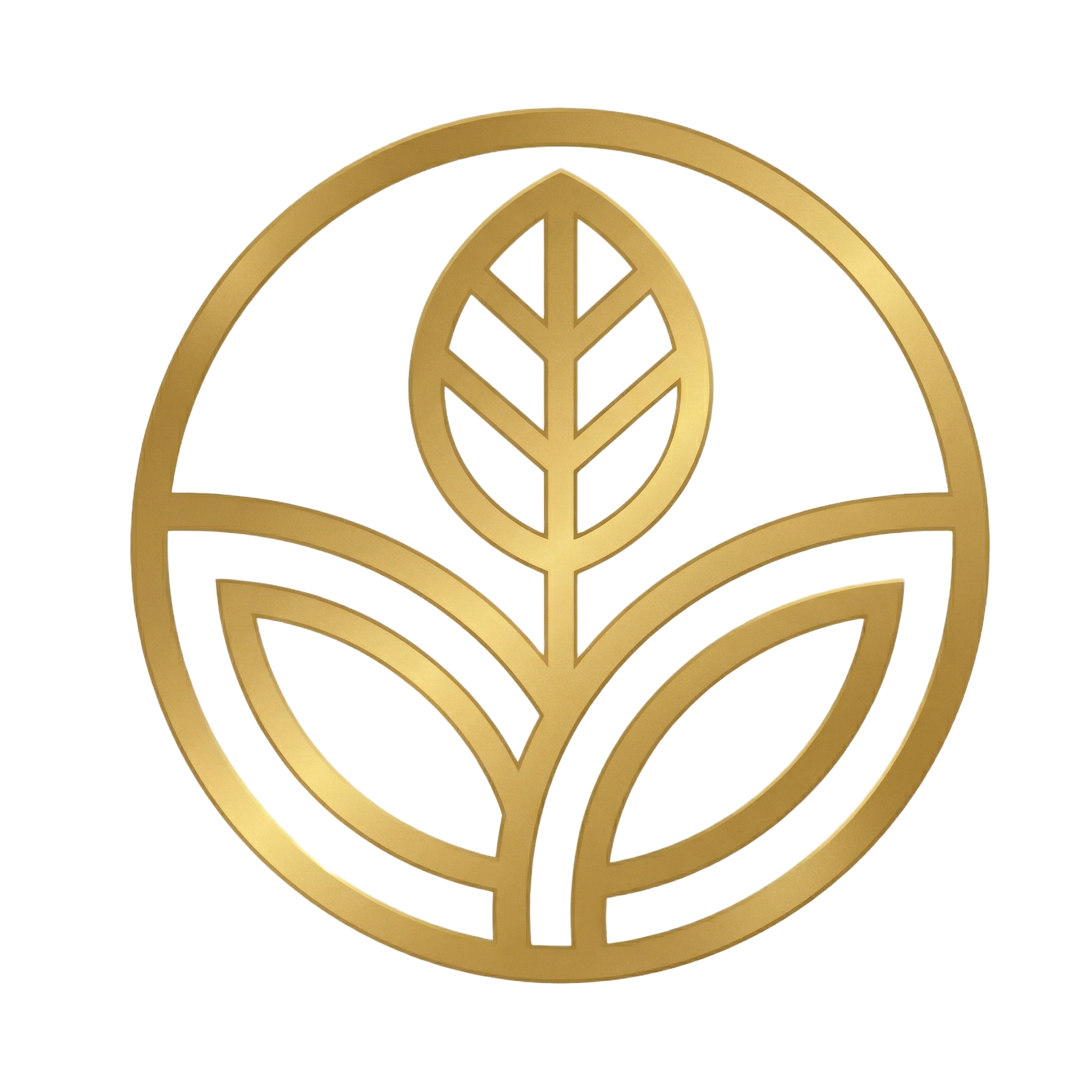 Eddoer几零猴 Logo